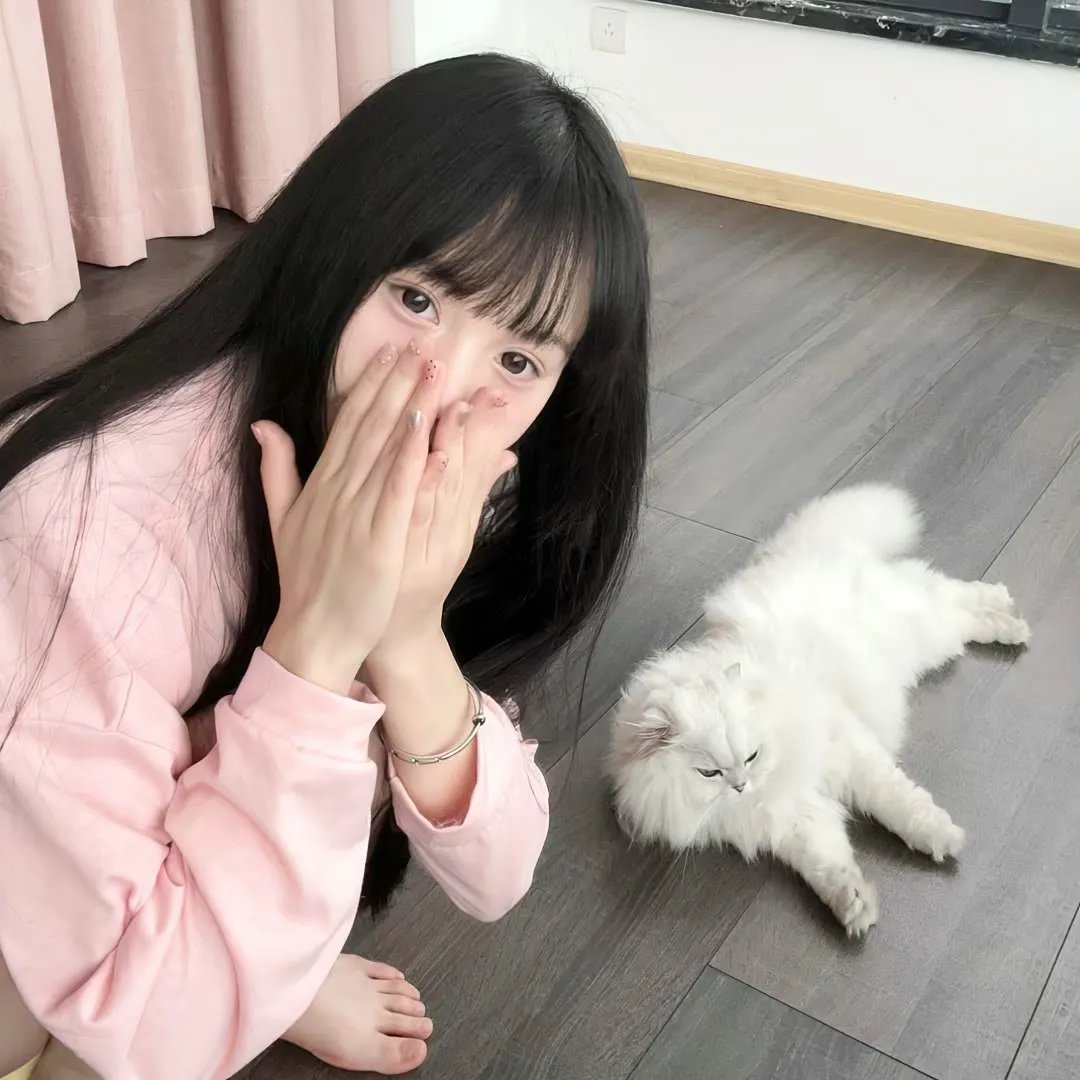 露营悄悄话