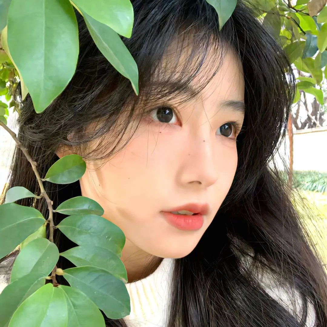 冬眠